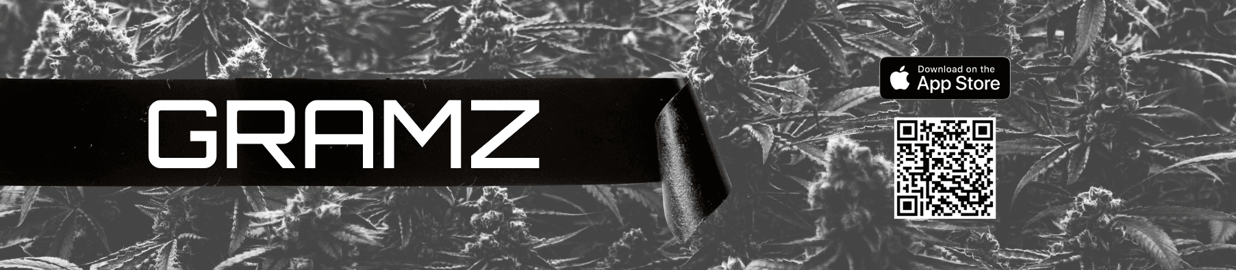 GRAMZ - DOWNLOAD OUR APP GRAMZ - DOWNLOAD OUR APP