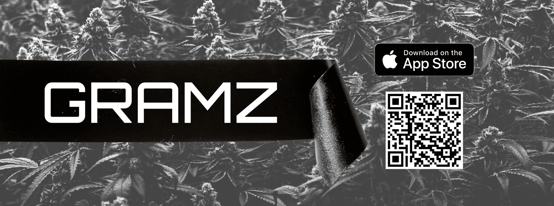 GRAMZ APP INSTALL GRAMZ APP INSTALL