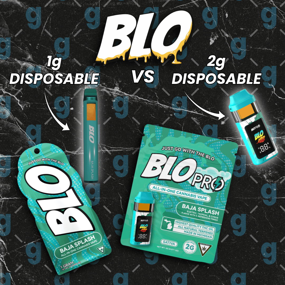 BLO DISPOSABLE